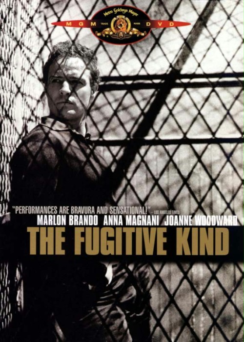 Jak ptaki bez gniazd / The Fugitive Kind (1959) PL.AC3.DVDRip.XviD-NN / Lektor PL