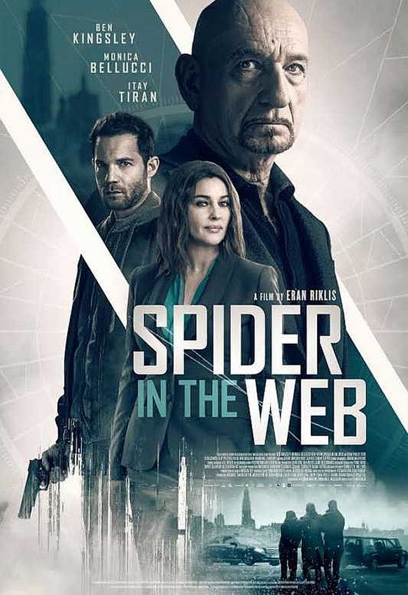 Pająk w sieci / Spider in the Web (2019) SD