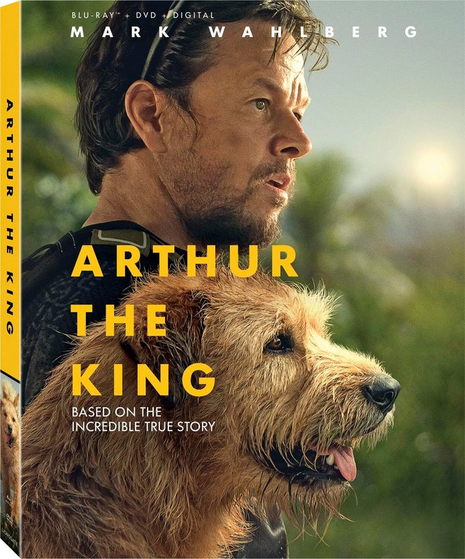 Mój pies Artur / Arthur the King (2024) PLDUB.DUAL.BRRip.DD5.1.x264-P2P / Polski Dubbing DD 5.1 i Napisy PL