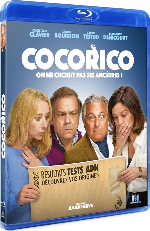 Test na teściów / Cocorico (2024) PL.BRRip.XviD-P2P / Polski Lektor